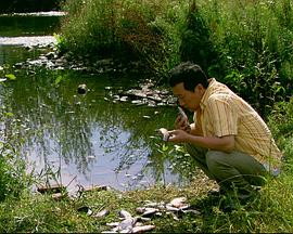 來福，來福