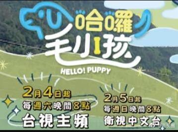 哈啰！毛小孩