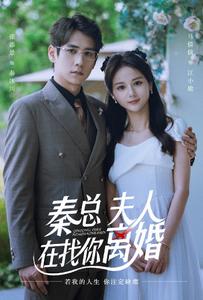 秦總，夫人在找你離婚(全集)