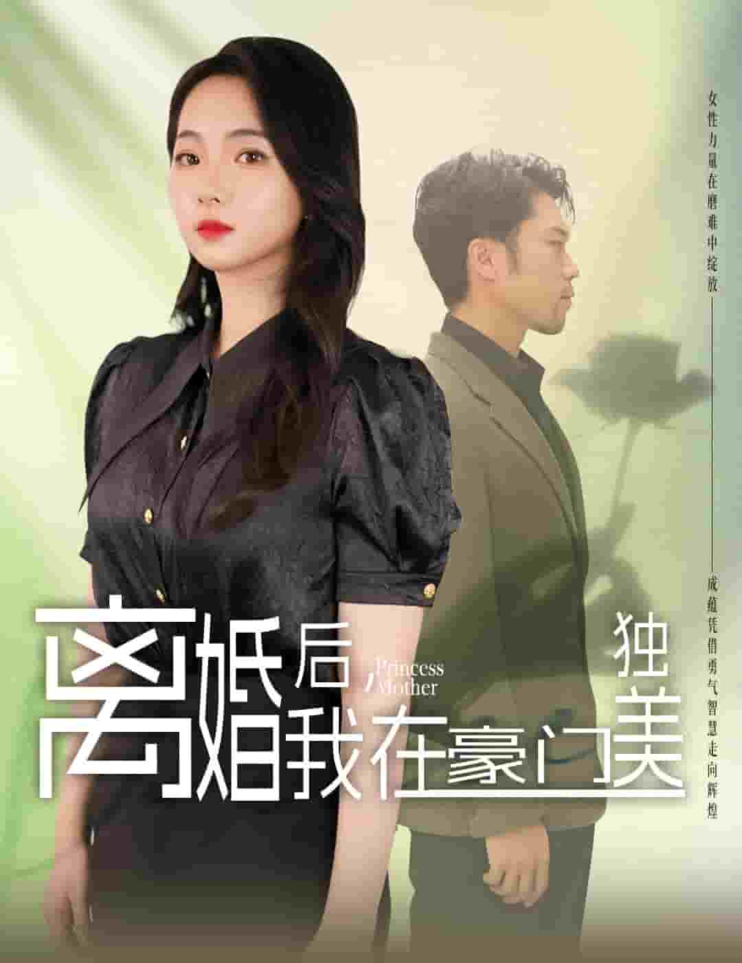 離婚后，我在豪門獨(dú)美(全集)