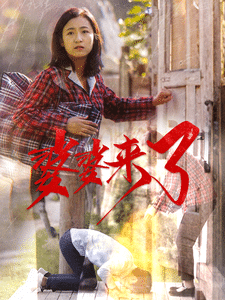 婆婆來了（短劇版）(全集)