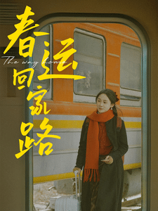 春運(yùn)回家路(全集)