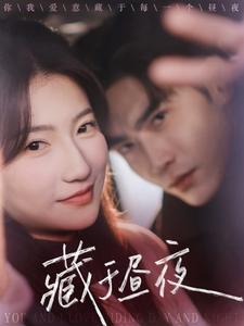 藏于晝夜(全集)