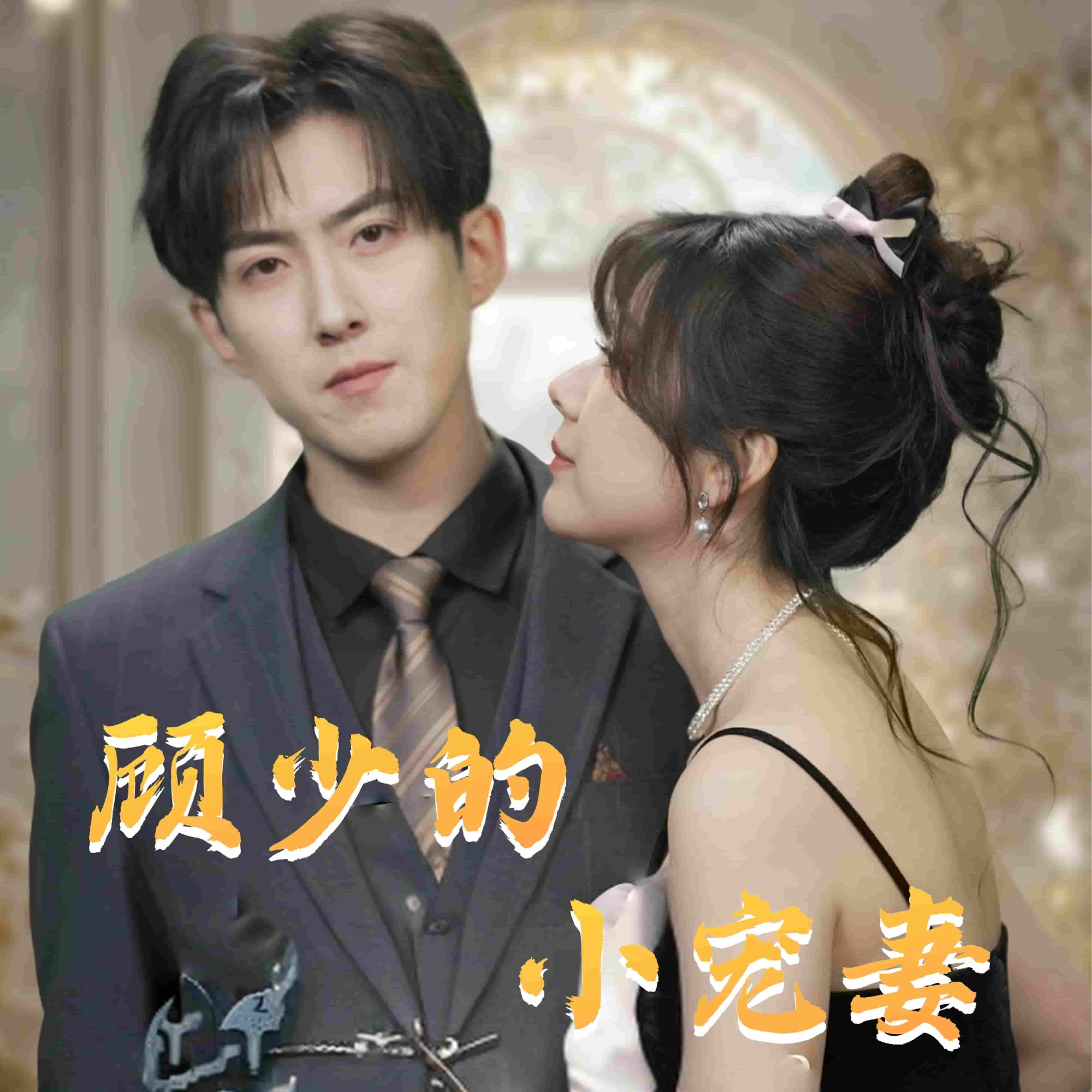 顧少的小寵妻(全集)