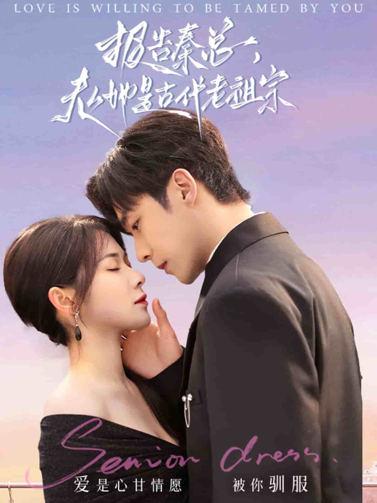 報(bào)告秦總，夫人她是古代老祖宗(全集)