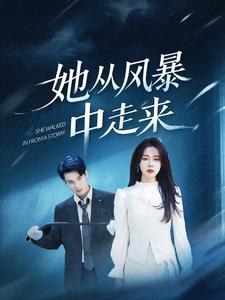 她從風(fēng)暴中走來(全集)