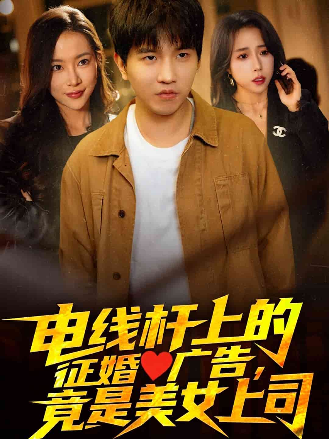 電線桿上的征婚廣告，竟是美女上司(全集)