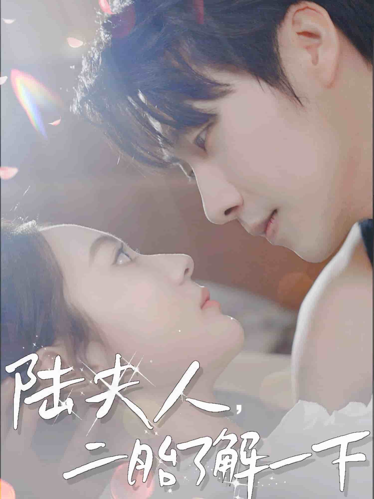 陸夫人，二胎了解一下(全集)