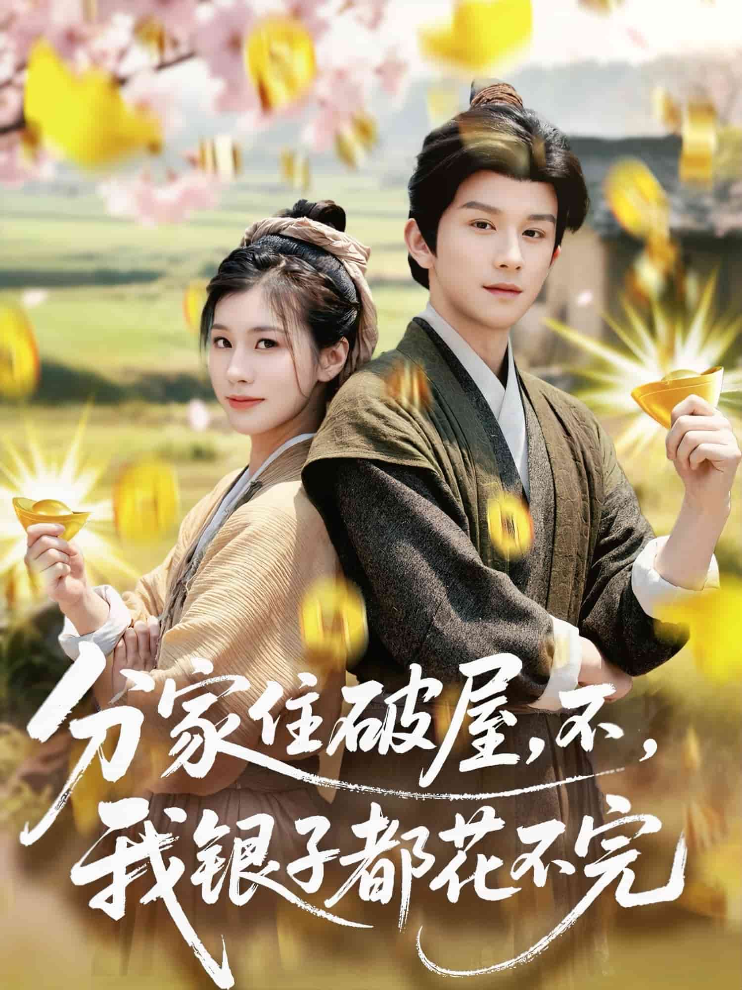 分家住破屋，不，我銀子都花不完(全集)