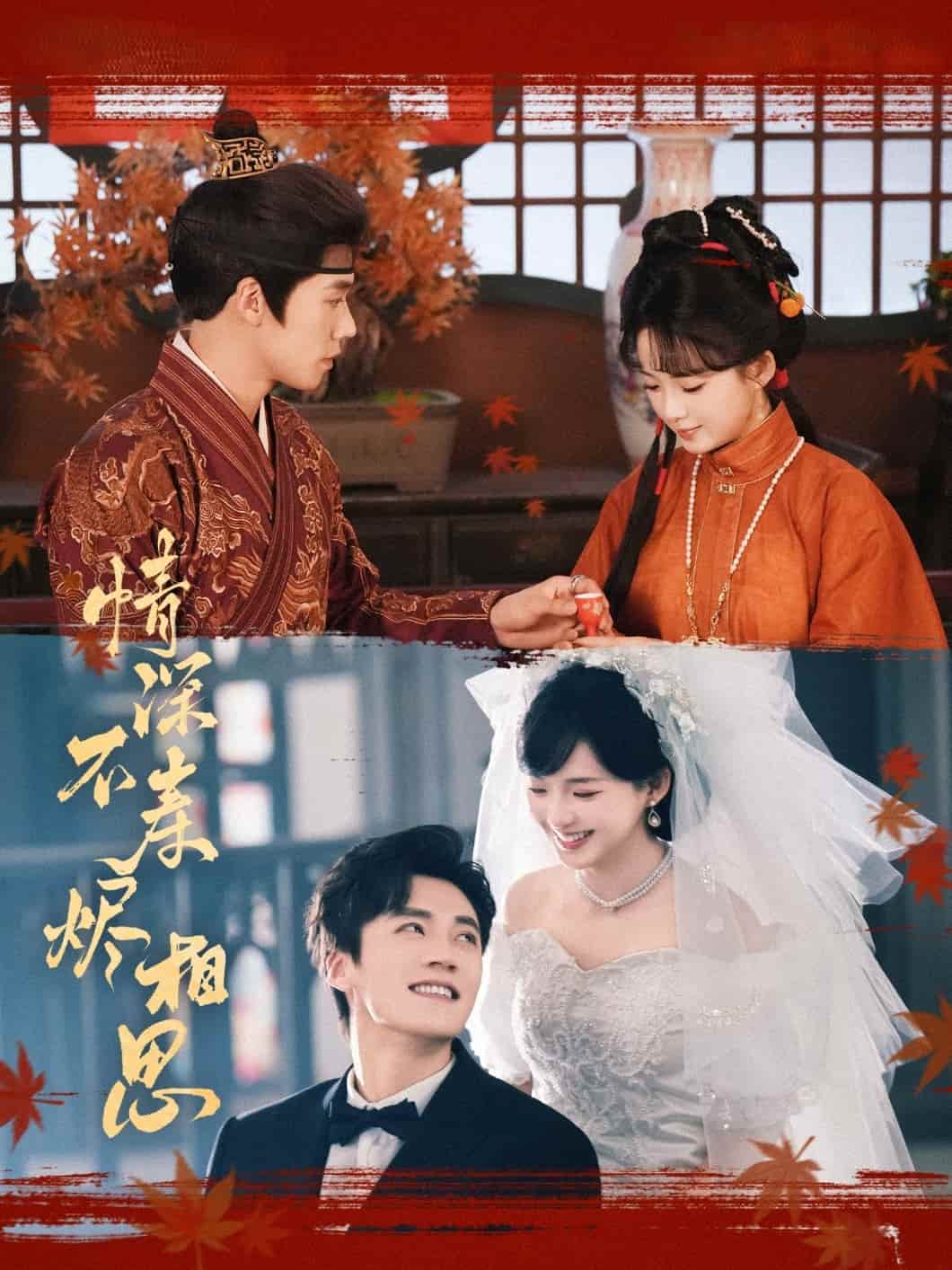 情深不壽燼相思(全集)