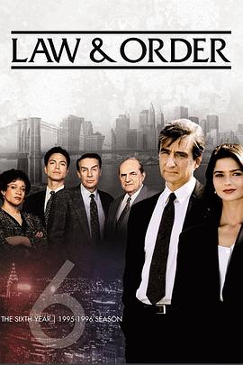 法律與秩序第六季(全集)