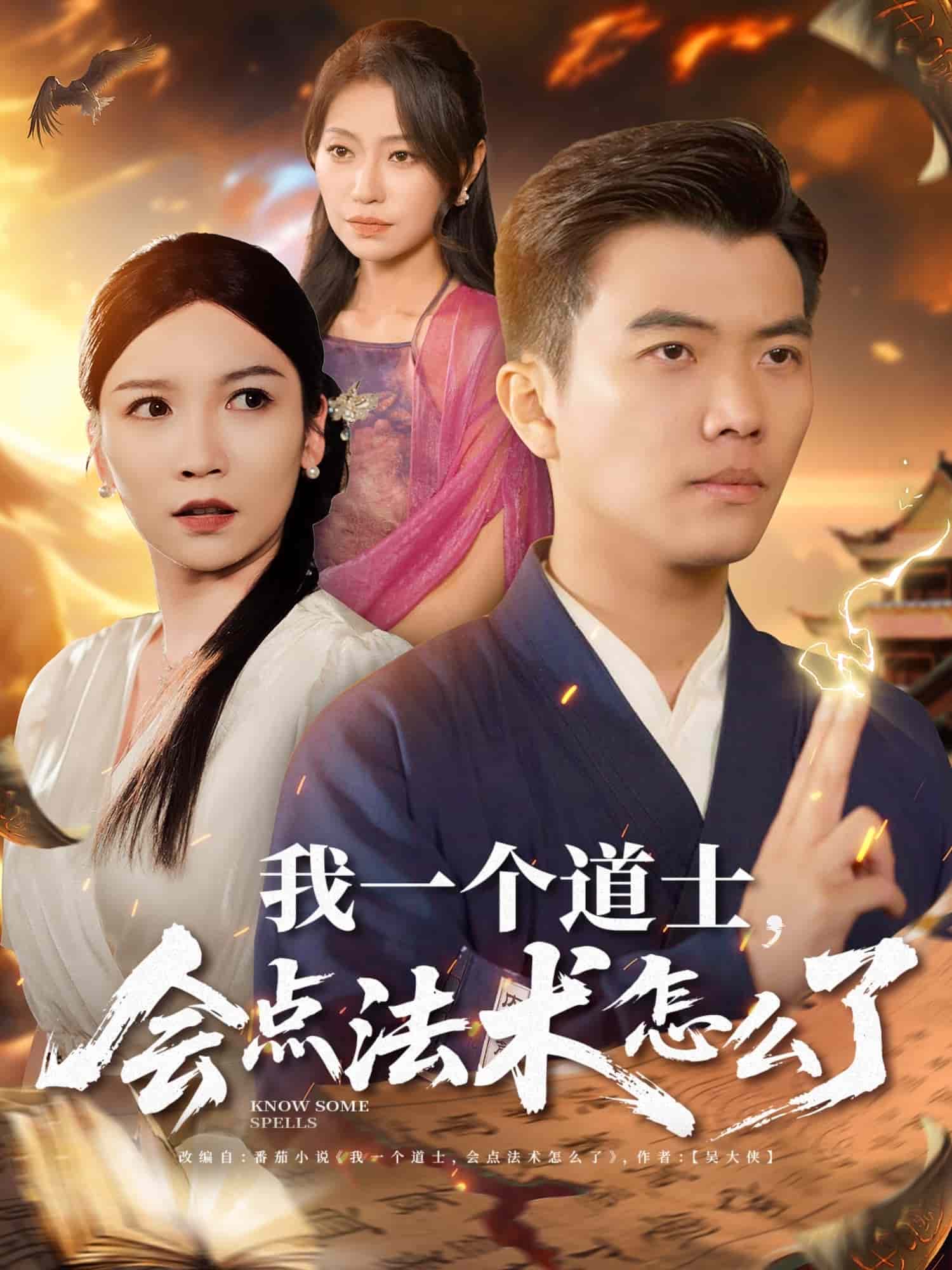 我一個(gè)道士會點(diǎn)法術(shù)怎么了(全集)