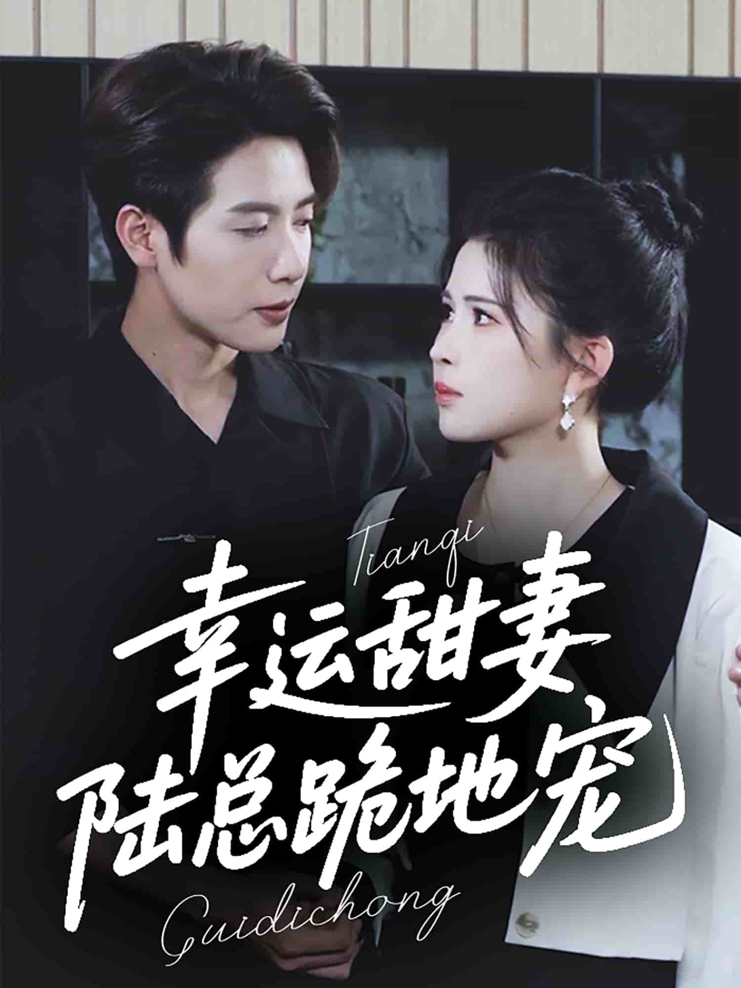 幸運甜妻，陸總跪地寵(全集)