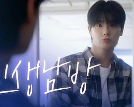 格紋襯衫第二季(全集)