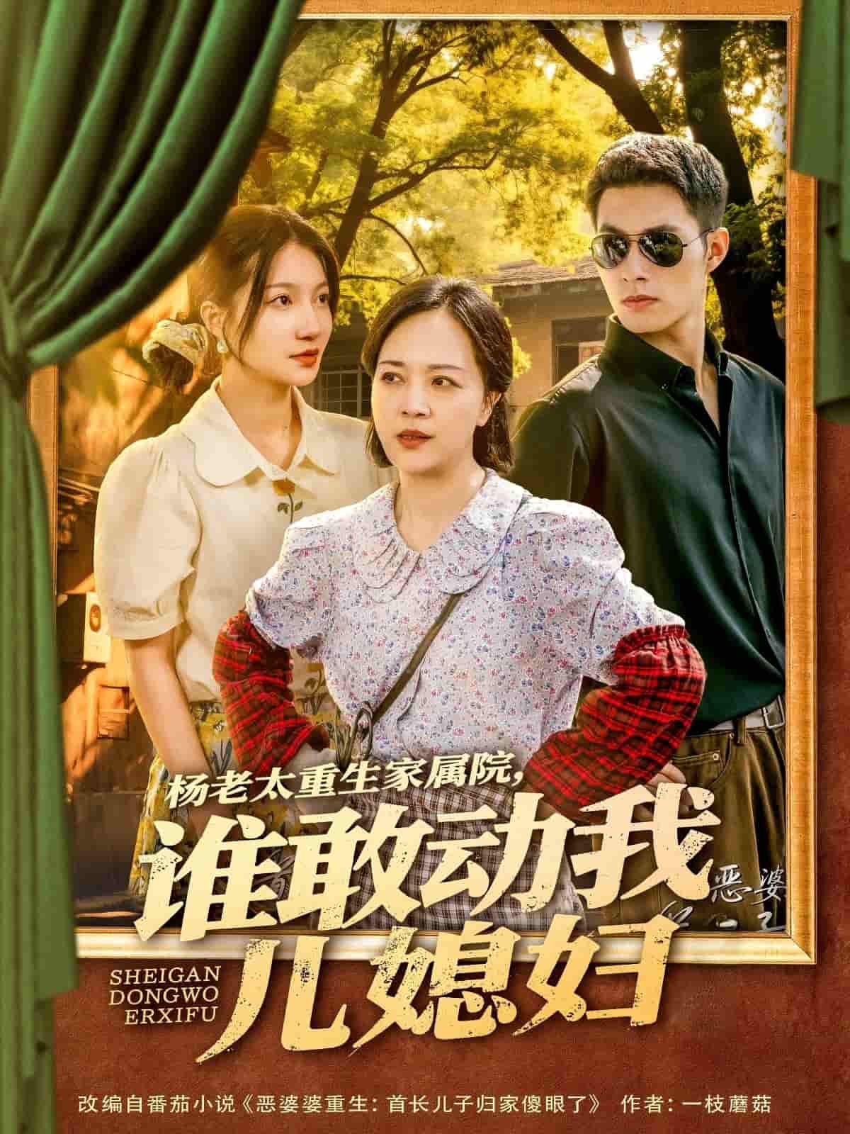 楊老太重生家屬院，誰敢動我兒媳婦(全集)