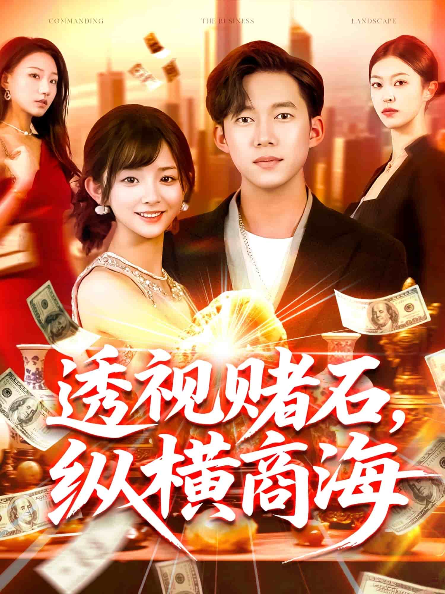 透視賭石，縱橫商海(全集)