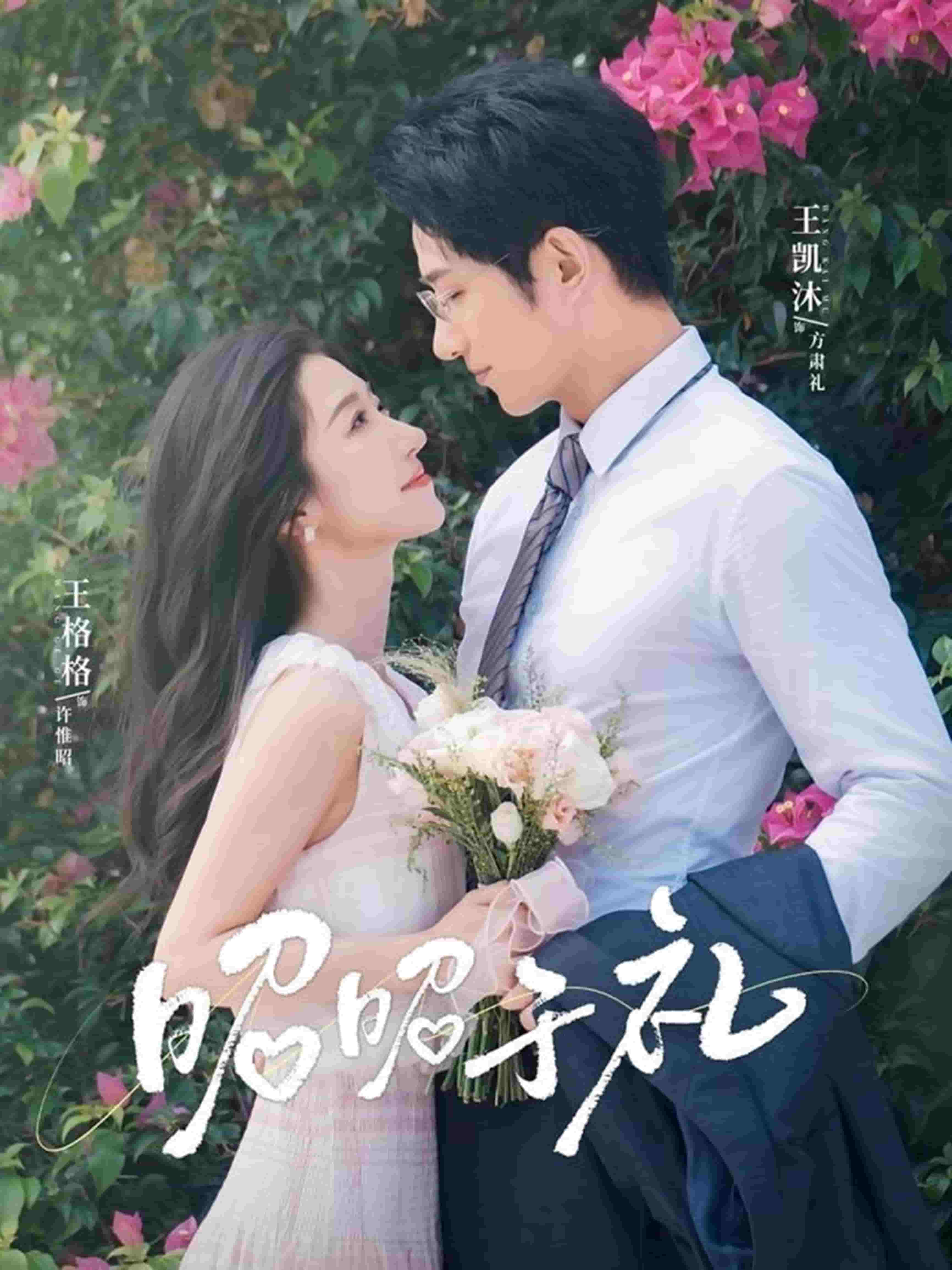 昭昭于禮(全集)