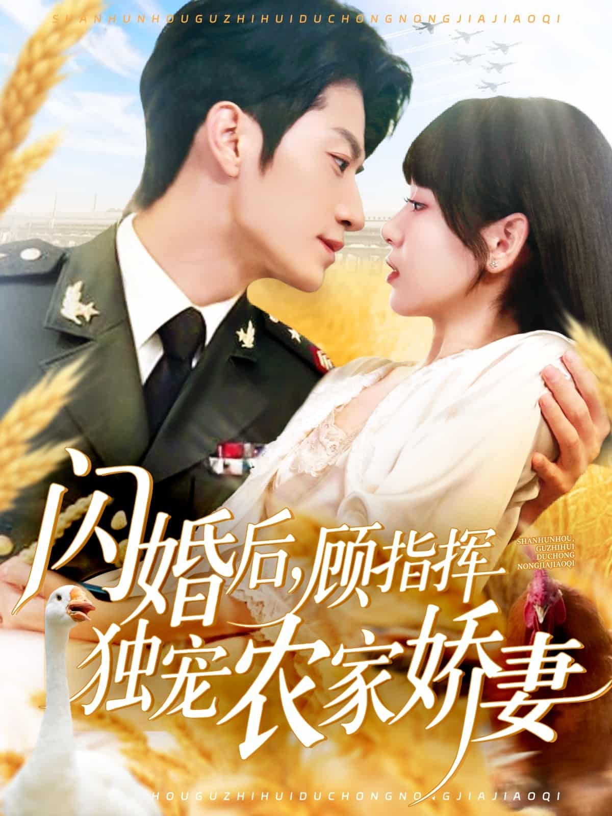 閃婚后顧指揮獨寵農(nóng)家嬌妻(全集)