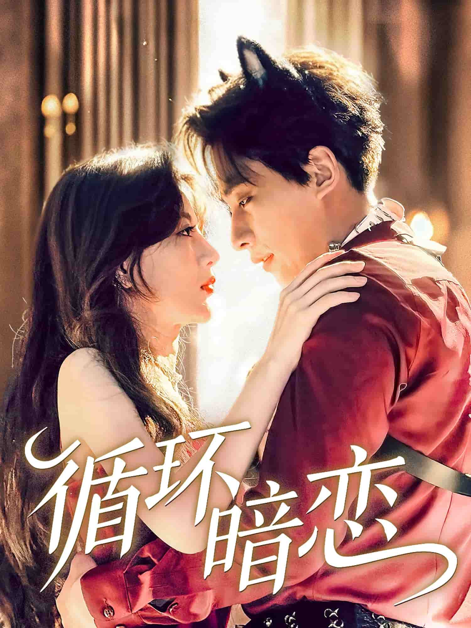 循環(huán)暗戀(全集)