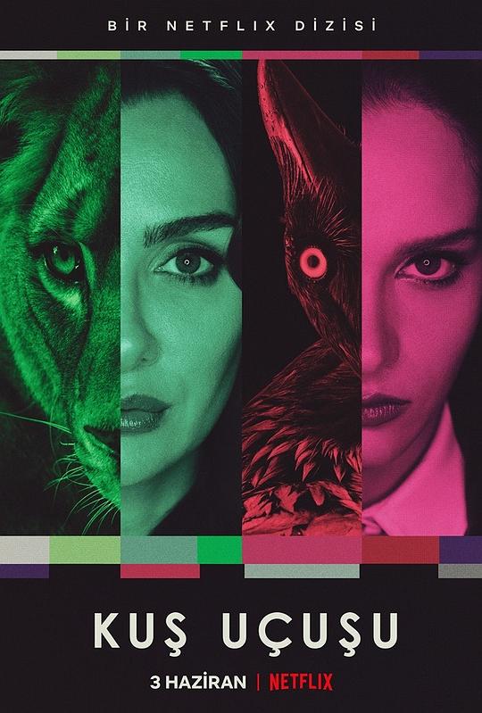 直線篡位(全集)