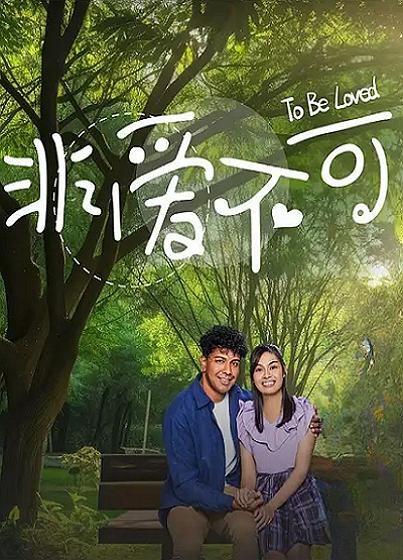 非愛(ài)不可(全集)