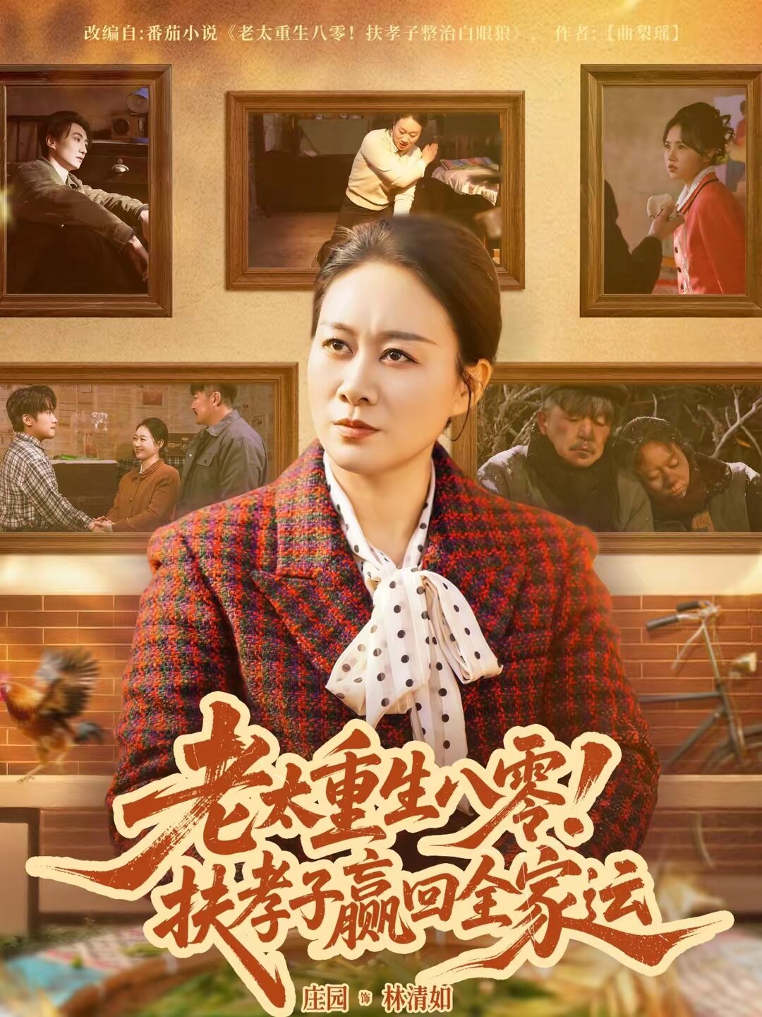 老太重生八零！扶孝子贏回全家運(全集)