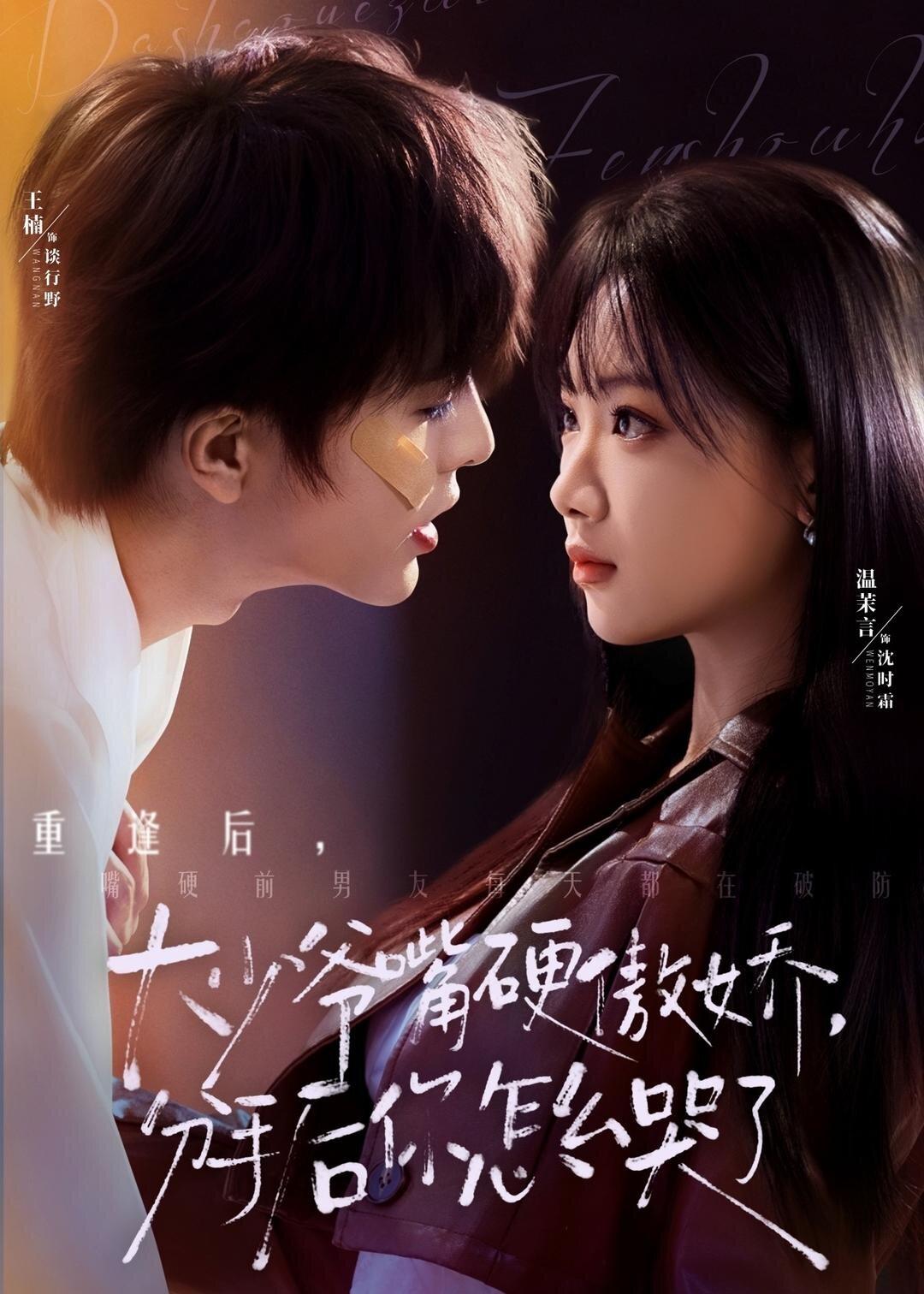 大少爺嘴硬傲嬌，分手后你怎么哭了(全集)