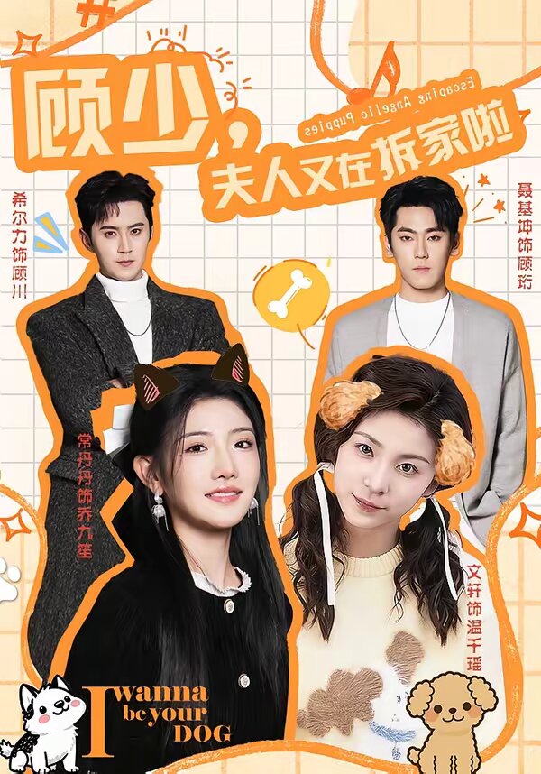 顧少，夫人又在拆家啦(全集)