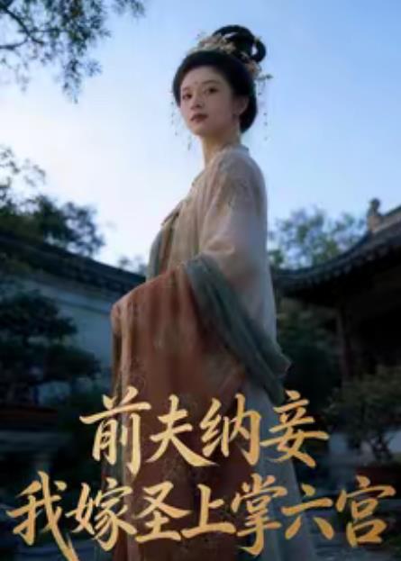 前夫納妾，我嫁圣上掌六宮(全集)