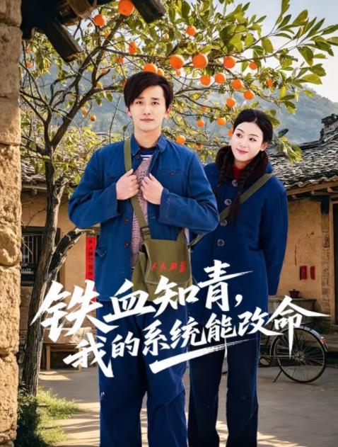 鐵血知青，我的系統(tǒng)能改命(全集)