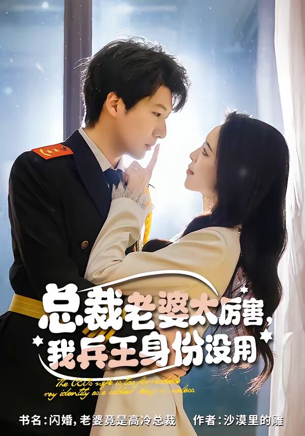 總裁老婆太厲害，我兵王身份沒(méi)用(全集)