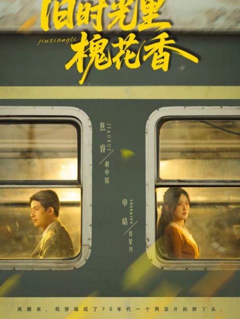 舊時光里槐花香(全集)