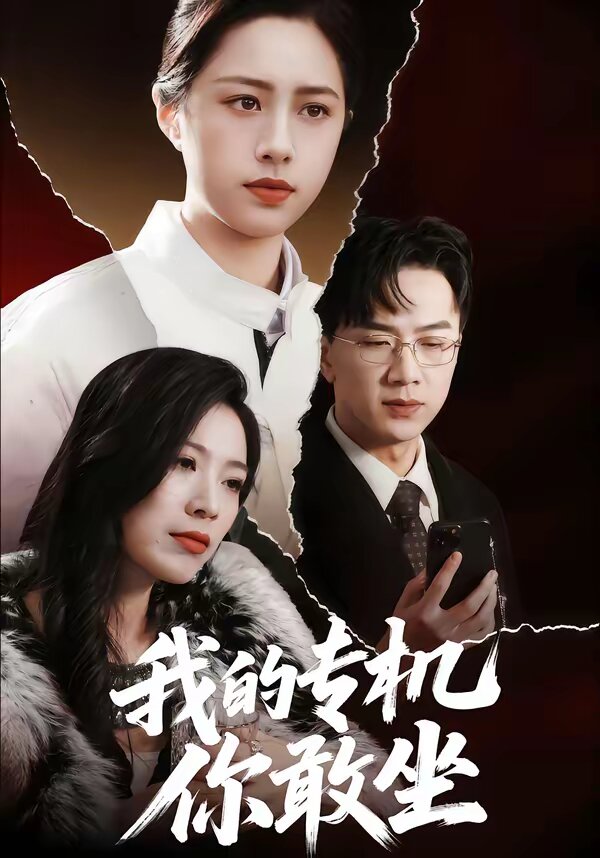 我的專(zhuān)機(jī)你敢坐(全集)