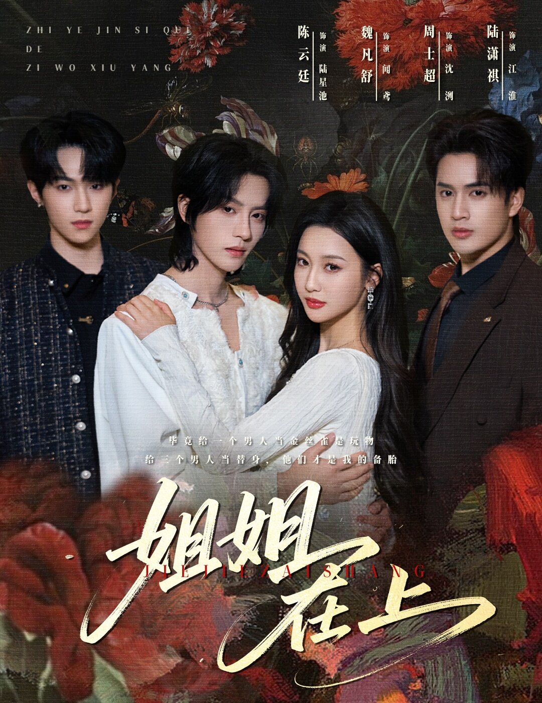 姐姐在上(全集)