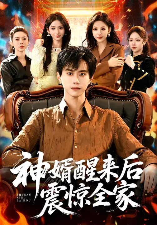 神婿醒來后震驚全家(全集)