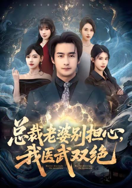 總裁老婆別擔(dān)心，我醫(yī)武雙絕(全集)