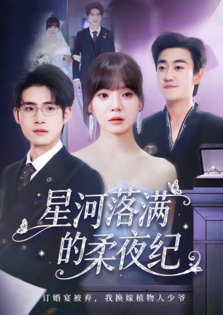 星河落滿的柔夜紀(jì)(全集)