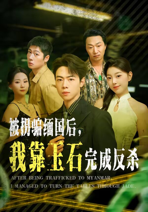 被拐騙緬國后，我靠玉石完成反殺(全集)