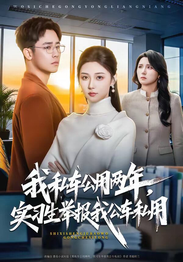 我私車公用兩年，實(shí)習(xí)生舉報(bào)我公車私用(全集)