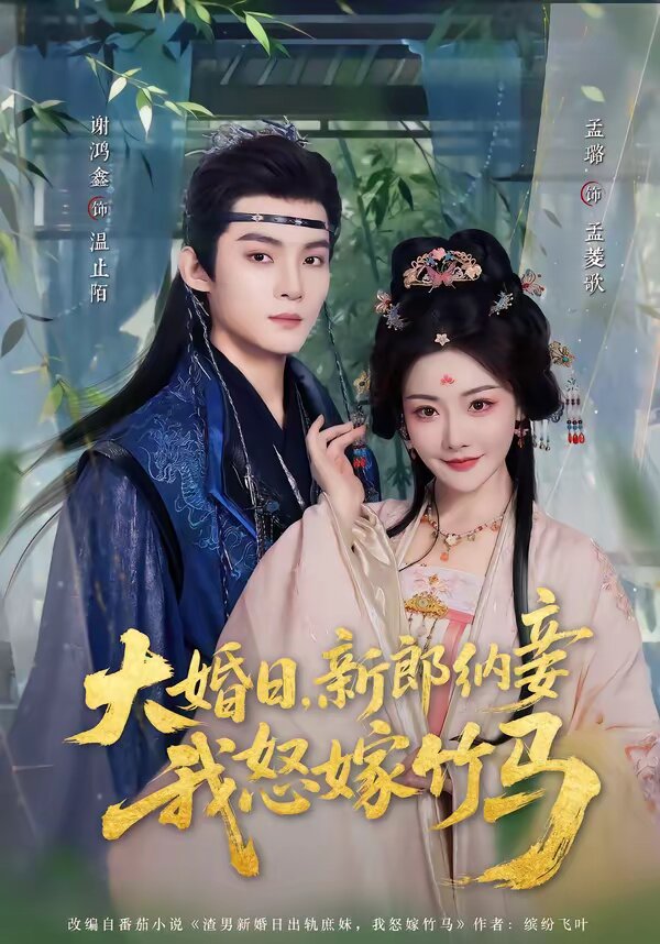 大婚日，新郎納妾我怒嫁竹馬(全集)