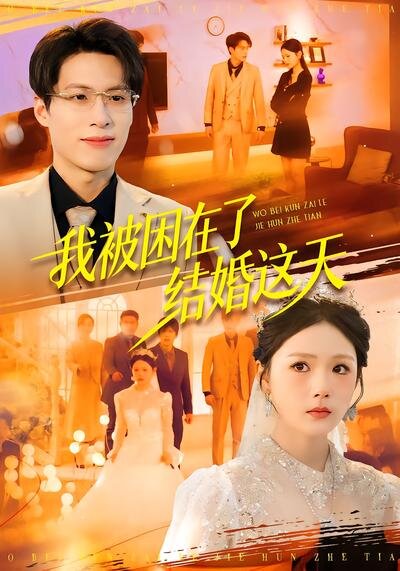 我被困在了結(jié)婚這天(全集)