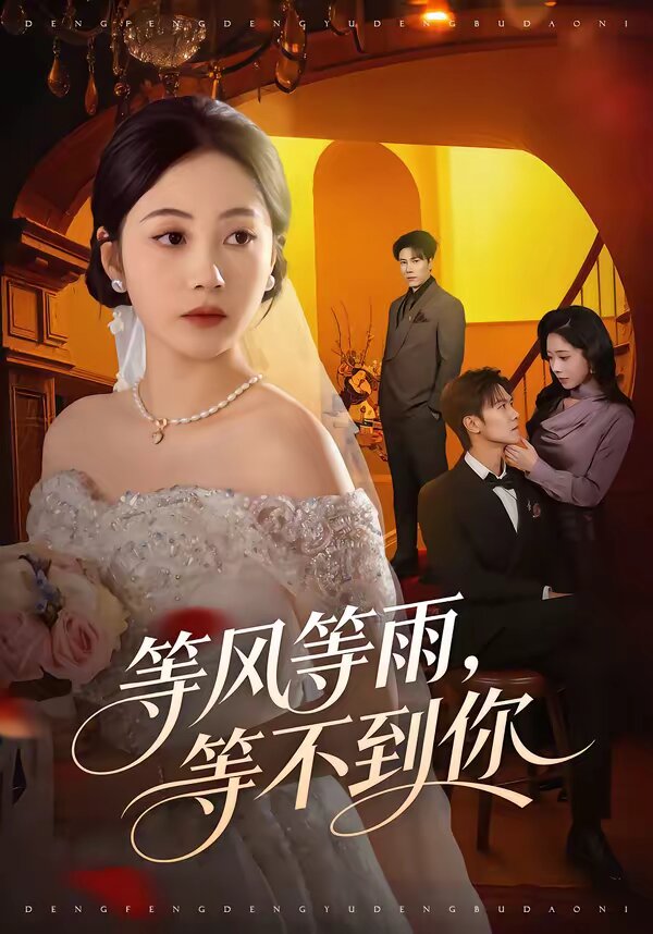 等風等雨，等不到你(全集)