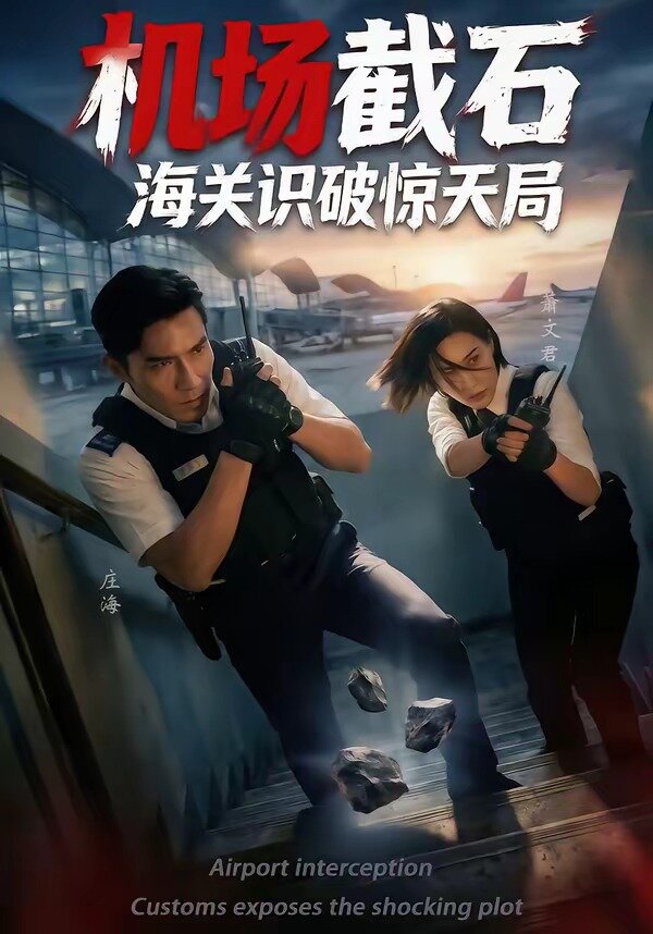 機(jī)場(chǎng)截石，海關(guān)識(shí)破驚天局(全集)