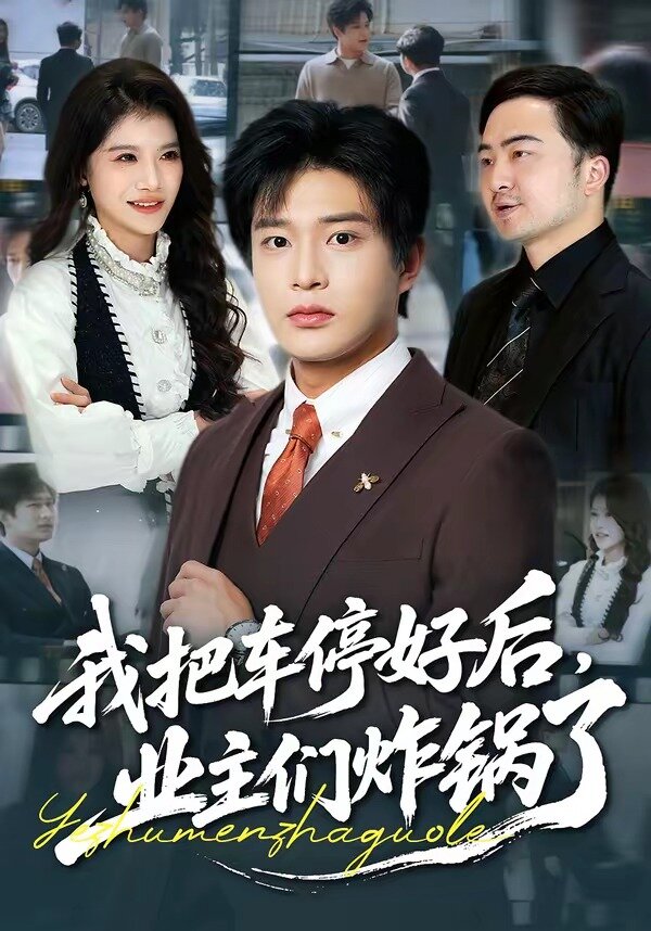 我把車停好后，業(yè)主們炸鍋了(全集)