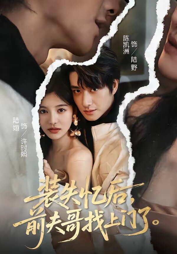 裝失憶后，前夫哥找上門了(全集)