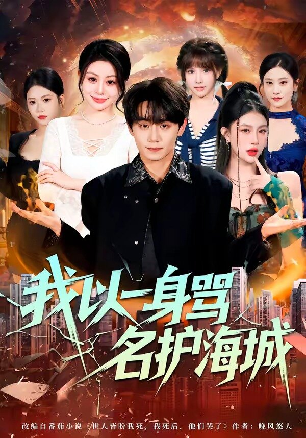 我以一身罵名護(hù)海城(全集)