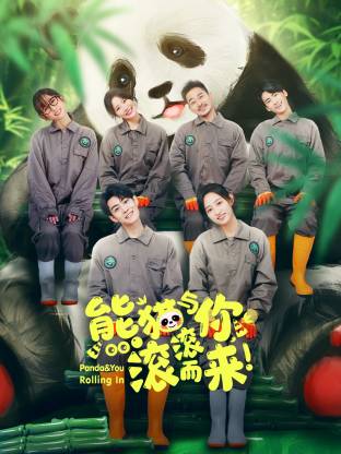 熊貓與你，滾滾而來！(全集)